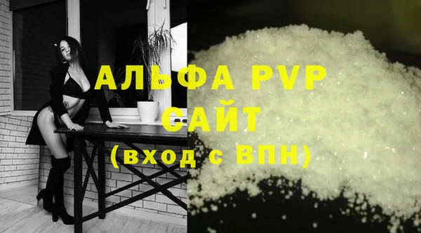 стафф Осинники