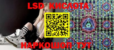 стаф Гай