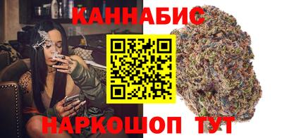 кокс Гатчина