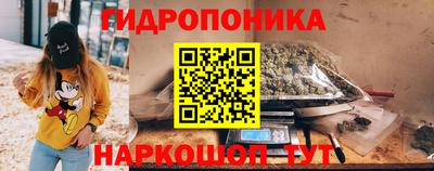 кокс Гатчина