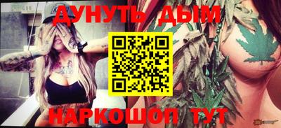 кокс Гатчина