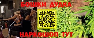 стаф Гай