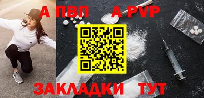 стаф Гай