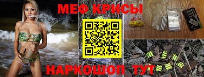 стаф Гай