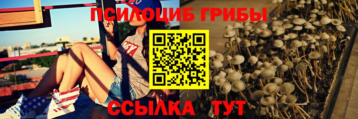 Галлюциногенные грибы Psilocybe  сколько стоит  Каспийск 